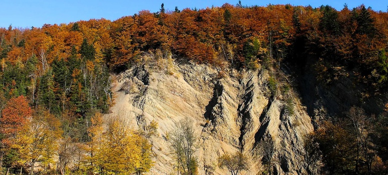 Wycieczka do Rymanowa i Rudawki Rymanowskiej, 7.07.2026