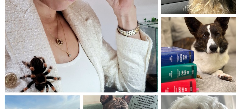 Wyniki konkursu fotograficznego "Z kodeksem wśród zwierząt"