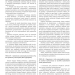 „Siła marzeń – w drodze do wolności”